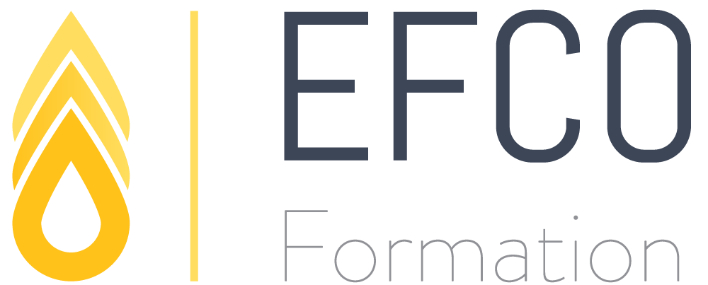 logo-vectorise-EFCO-1
